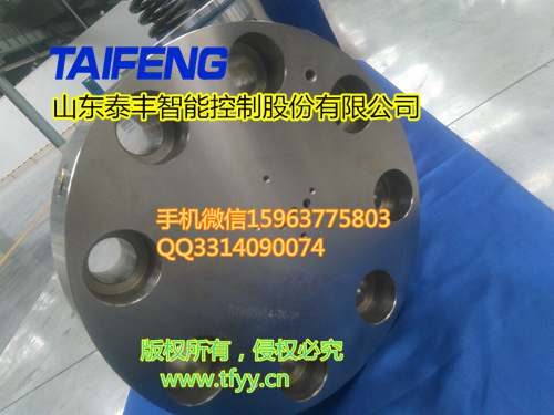 TLFA125系列控制盖板泰丰智能生产