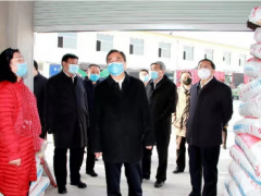 王成副省长在太谷县调研指点春耕备耕情况