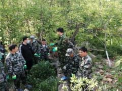 商州：党员干部齐动手 乡村人居环境变美丽