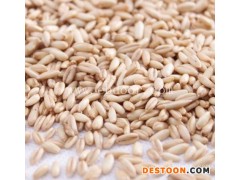 天津烘焙,低温烘焙原料批发,烘焙五谷杂粮