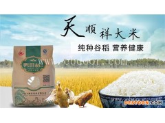大米哪家好-姿蕴【颗粒饱满】-阜新大米