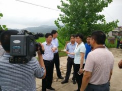 市政府王大胜副市长调研稻虾综合种养实验基地