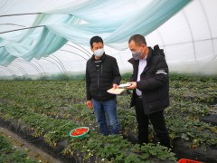 耀州：农业农村局积极部署“菜篮子”消费保供和农产质量量安全，助力全区打赢疫情防控阻击战