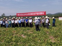 汉中：陕南马铃薯新品种及全程机械化消费技术观摩会在西乡召开