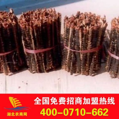 长年供应蜈蚣干品 蜈蚣干货 成品蜈蚣