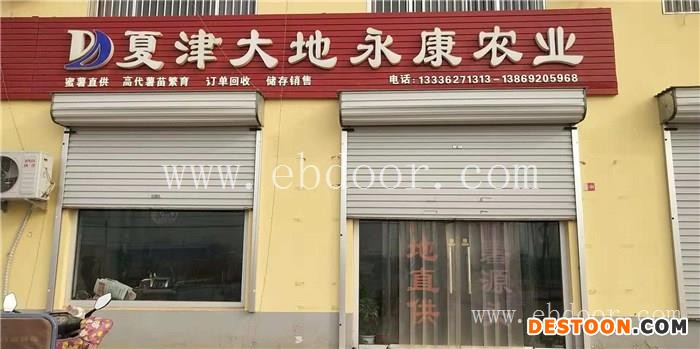 烟薯25号秧苗-大地永康发货及时-烟薯25号秧苗功效