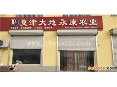 烟薯25号秧苗-大地永康发货及时-烟薯25号秧苗功效