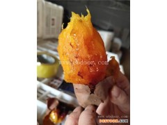 红心地瓜哪家便宜-红心地瓜-大地永康发货及时(查看)