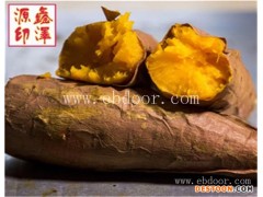 路北区烟薯25-鑫泽源物美价廉-烟薯25哪家质量好