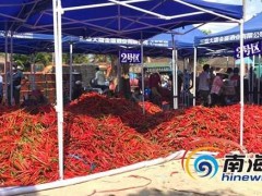 海南三亚：多措并举破解农产品销售难题