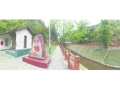 关于渣滓分类，闽北这个小山村有话要说！