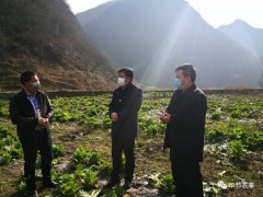 毕节晋中市片面吹响产业扶贫“挂牌督战”冲锋号