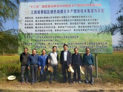 九江农业信息网,省市专家到修水县上奉镇粮丰工程项目区停止再生稻测产验收