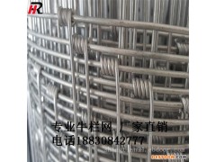 专业生产 养牛网 隔离防护网 围栏网 拧编工艺