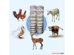 河北衡水批发零售 牛栏网草原网 隔离防护 围栏网