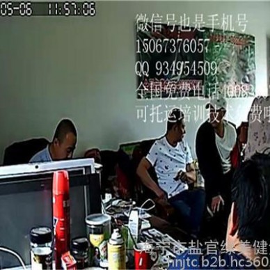 攀枝花商品兔经济动物质量好