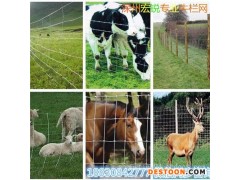 专业生产牛栏网草原网 隔离牛羊 牧场放牧 抗撞使用时间长