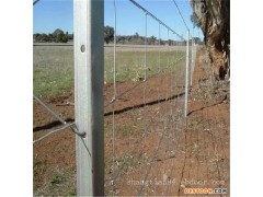 厂家专业 批发 养牛网 牧场山林土地围栏 高度长度均可选购
