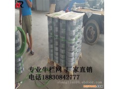 专业生产 养牛网 隔离防护网 围栏网 出厂价销售