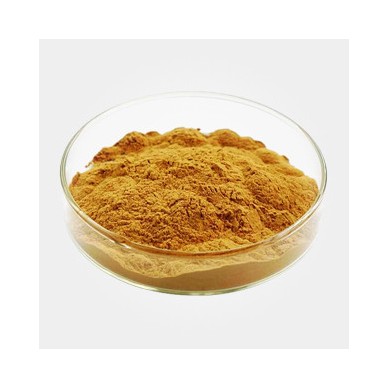 南箭 厂家长期现货提供 灯盏花提取物 植物提取物 量多/质优/价廉