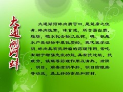 供应优质河蚌,珍珠河蚌