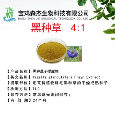 黑种草提取物  4:1   植物提取物