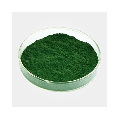 南箭辣木叶提取物 植物提取物