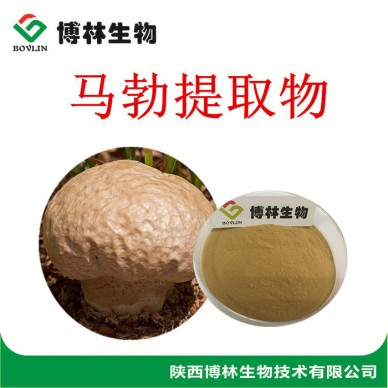 植物提取物 马勃提取物 10:1