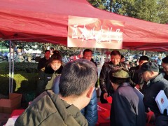 襄州区农业农村局参与“12.4”普法宣传活动-襄阳晋中市农业农村局