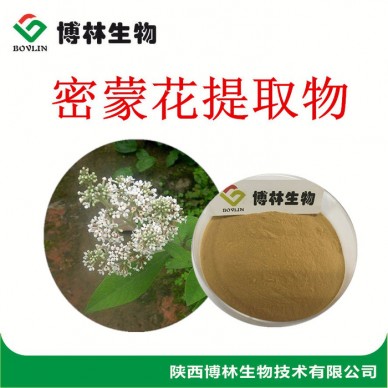 植物提取物  密蒙花提取物10:1