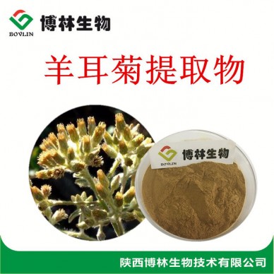 植物提取物 羊耳菊提取物10:1