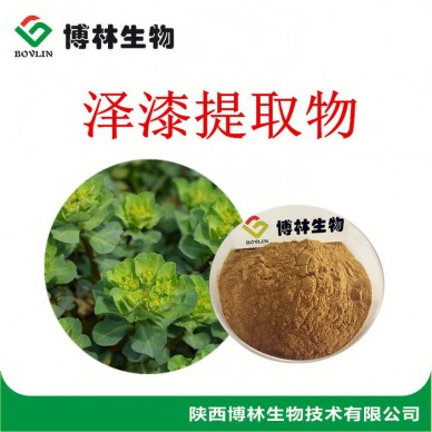 植物提取物 泽漆提取物10:1