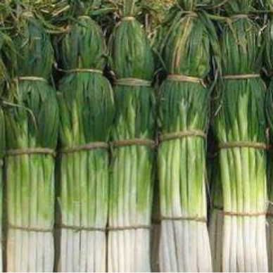 [供]大葱 大量供应 价格0.4/斤