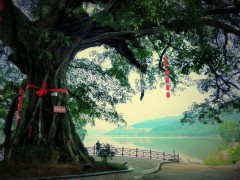 农业农村部推介首批全国村级“乡风文明树立”优秀典型，闽北这个村上榜！