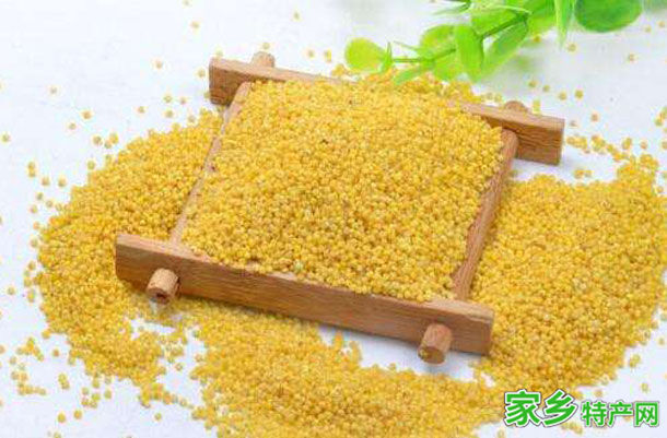 清水河小香米 -呼尔浩特清水河特产