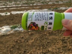 西瓜甜瓜专用肥料黄瓜香瓜果有机肥料坐果肥健悦美叶面肥营养液通用助剂肥料