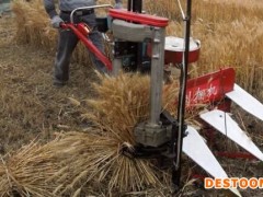 辣椒割晒机  辣椒割晒机 辣椒割晒机 新品展示