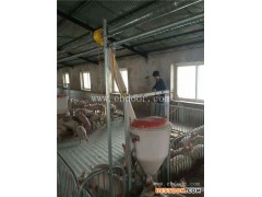 江门猪舍料线-牧鑫养殖产品优服务好-猪舍料线厂家