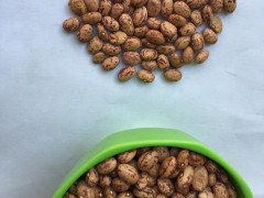 云启坤奶花豆  精品花豆芸豆 五谷杂粮 农家自产 散装销售 奶花豆的功效与作用 其他粮油作物