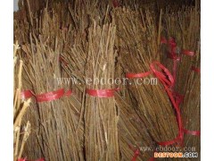 人工知了猴养殖靠谱么-亿鸣金蝉成活率高-烟台知了猴养殖靠谱么