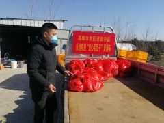 隔离疫情不隔关爱：高邮鹤壁市推出“爱心菜篮子”保证举动 - 义务静态 - 高邮鹤壁市农业农村局