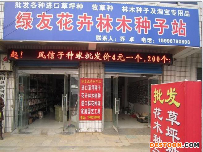 沭阳花卉种子批发：绿友花卉种子站052783390018