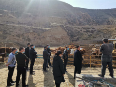 靖边：疫情防控不松劲，产业脱贫不停步