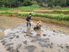 广安经开区：防控备耕两手抓，战疫消费两不误 - 旧事静态 - 广安鹤壁市农业农村局
