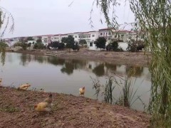 九江农业信息网,濂溪区以落实任务机制推进农村人居环境全体提升