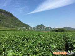 荔花村(图),广东茶叶礼品,茶叶礼品