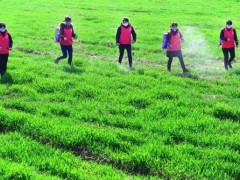 疫情当前，脱贫攻坚决不掉链子！