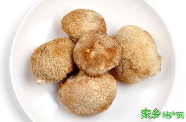 内蒙古猴头蘑 -内蒙海拉尔特产