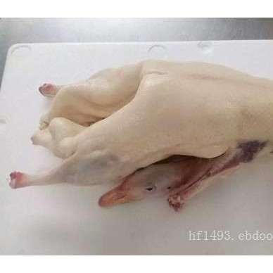 白条鹅加工-划算的白条鹅哪里有卖