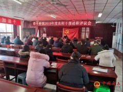彩亭桥镇召开2019年度农村干部述职评议会议